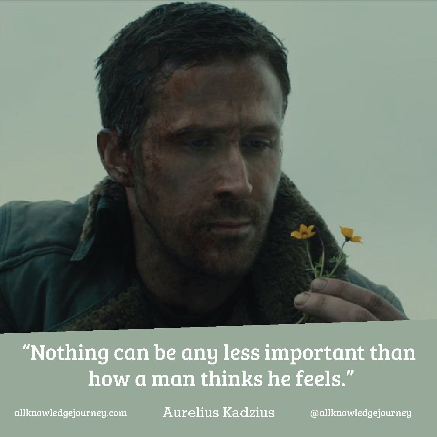 Feelings Are Not Mountains
