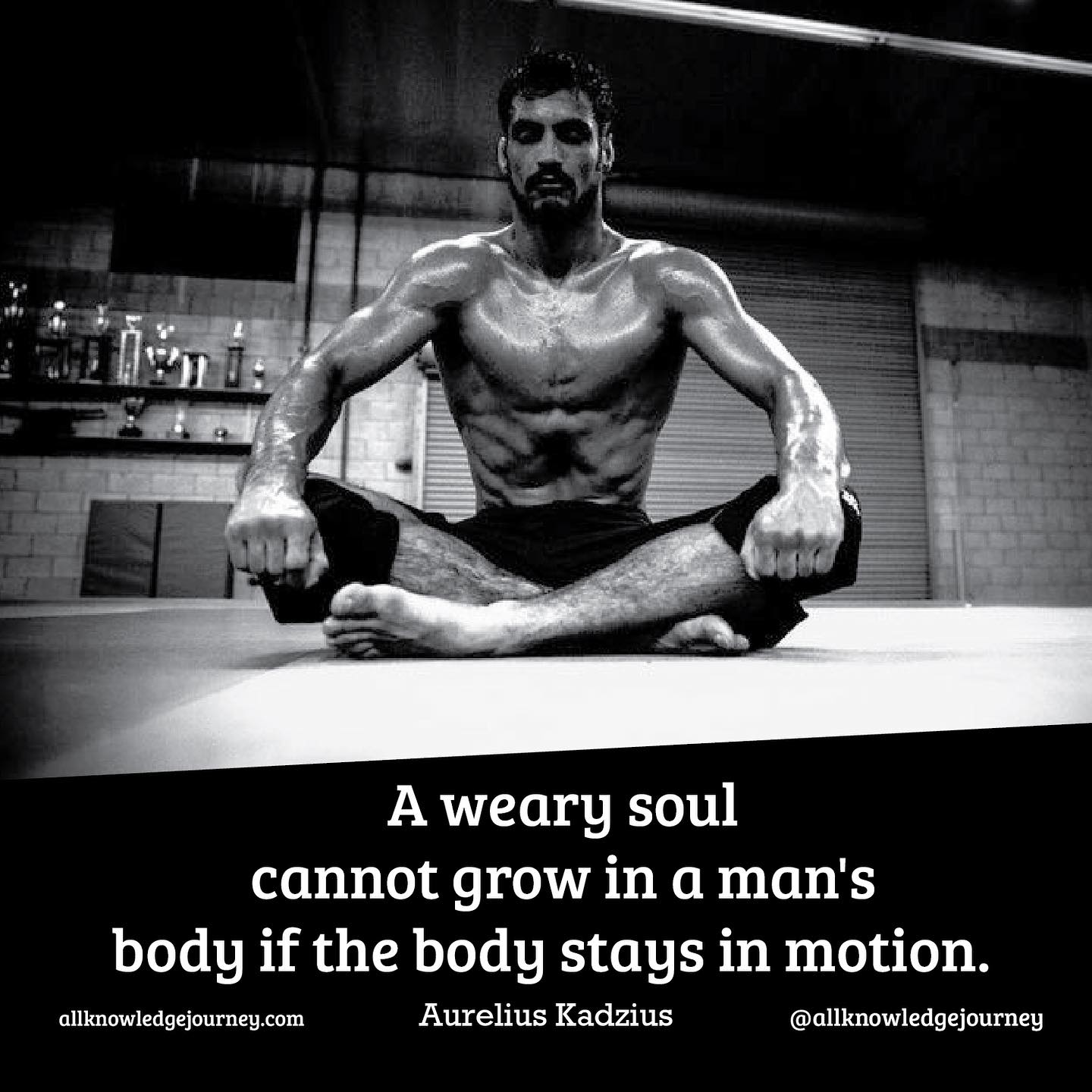 Motion as Meditation