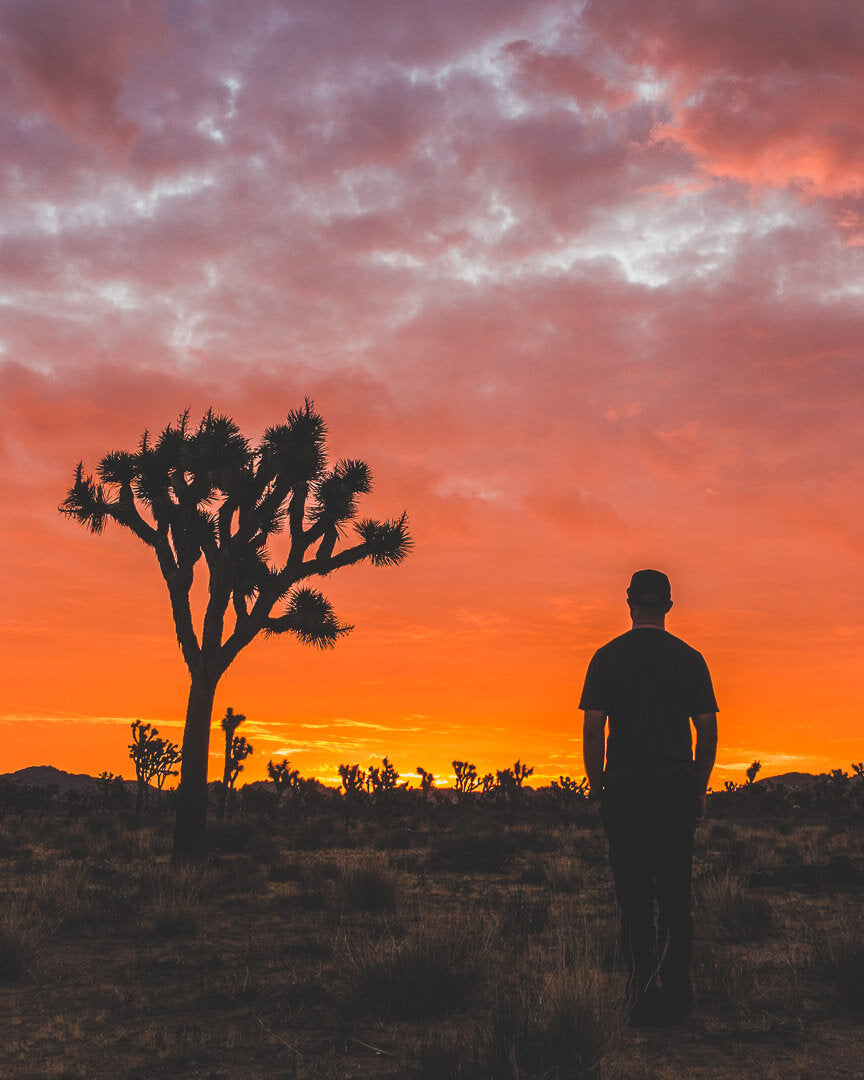 Actions of men, righteous or contrived?