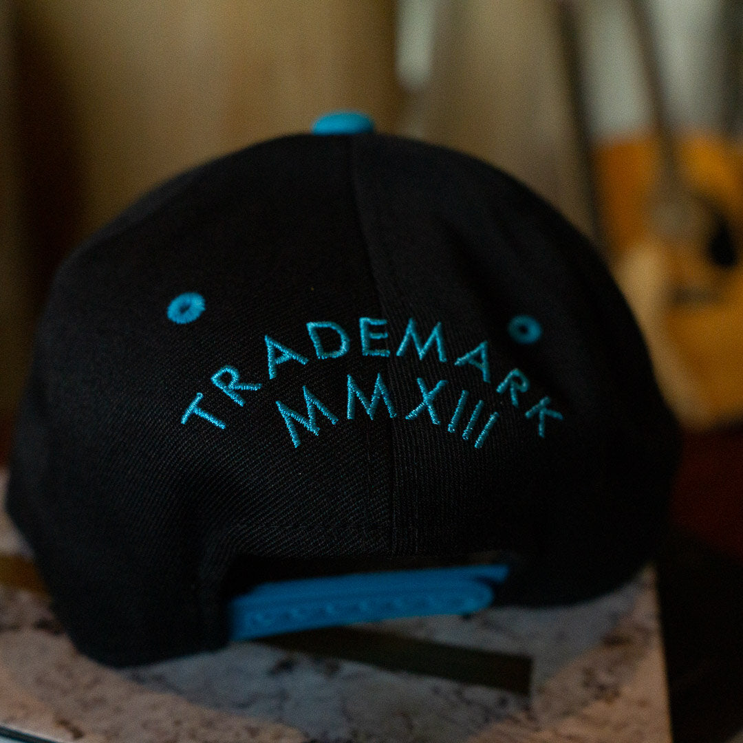 All Knowledge Trademark Snapback Hats
