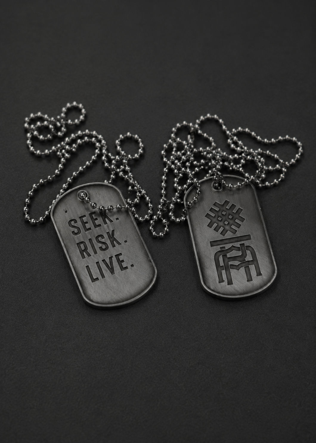 Dog tag necklace - SEEK RISK LIVE