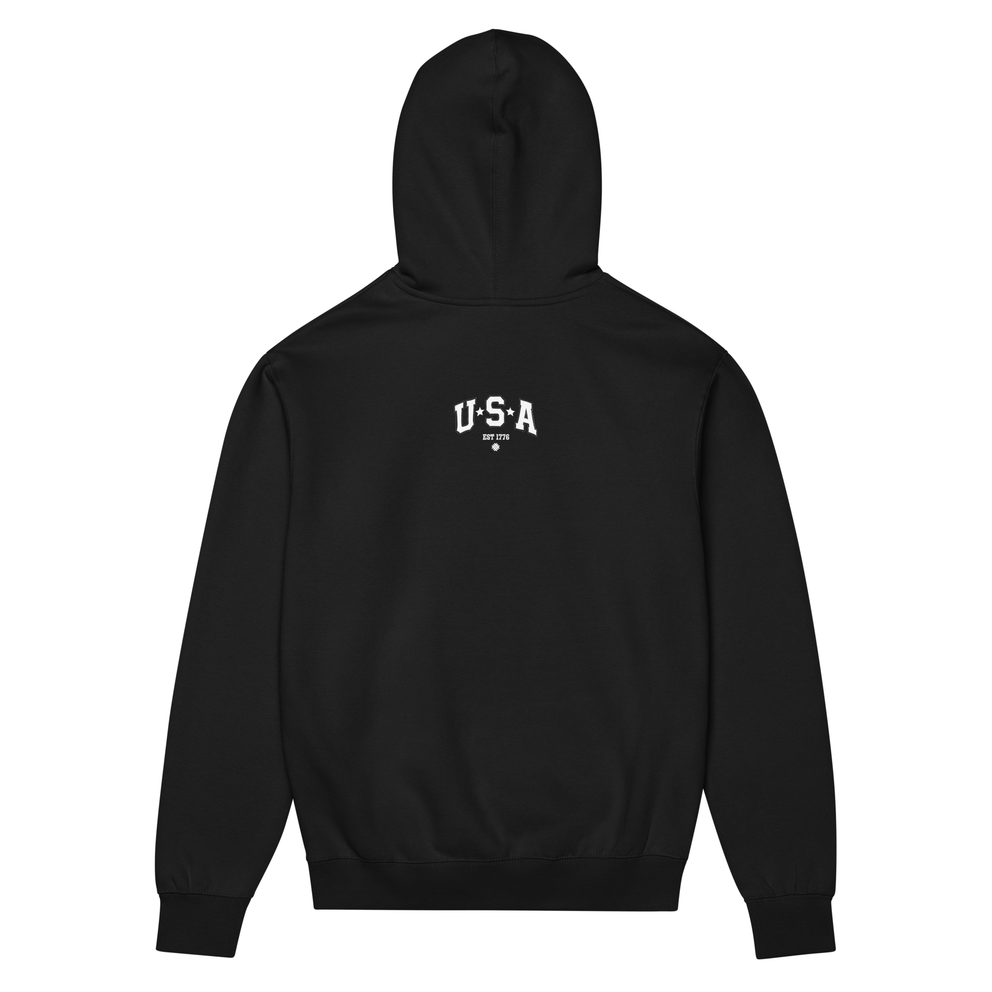 AK Patriot Heavyweight Hoodie - All Knowledge Journey
