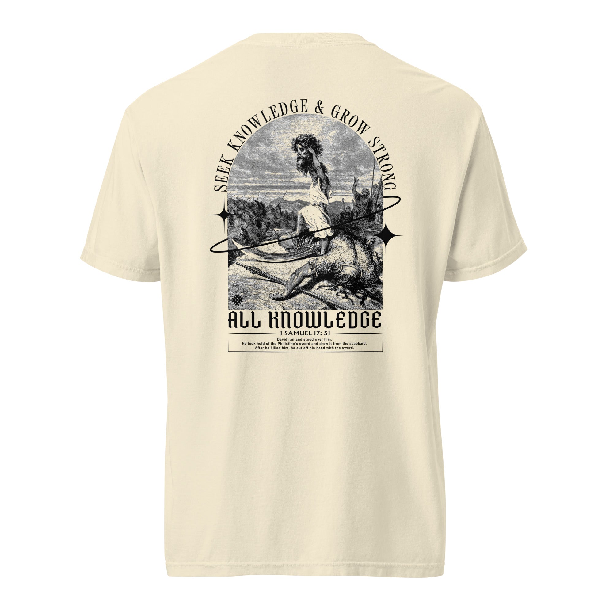 David and Goliath T-Shirt | Faith & Fight - All Knowledge Journey